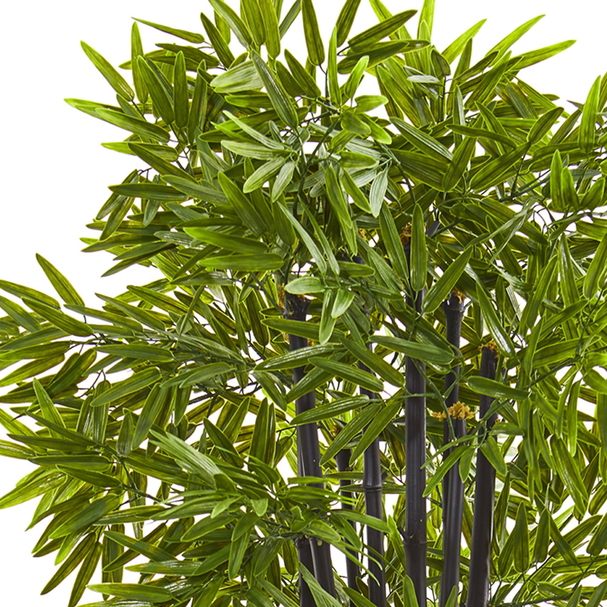 5ft. Bamboo Tree with Black Trunks in Decorative White Planter